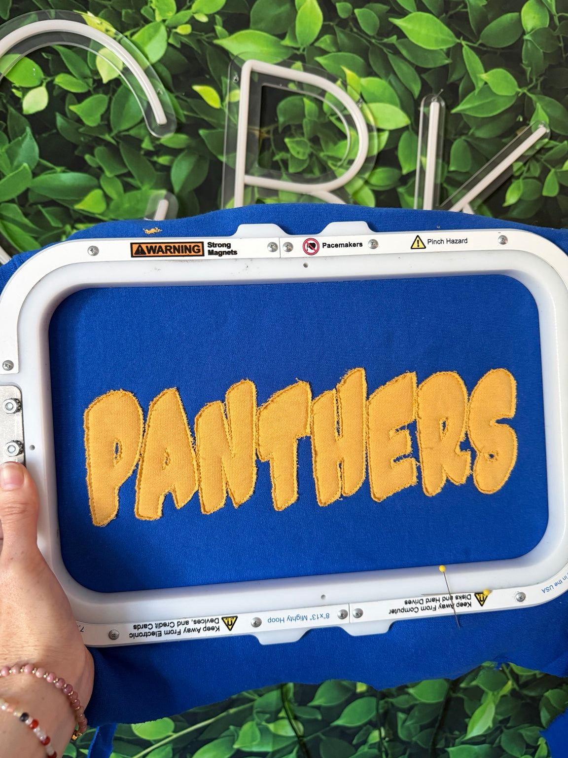 Panthers bubble applique